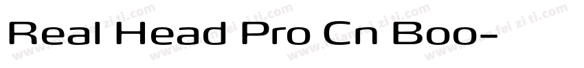Real Head Pro Cn Boo字体转换